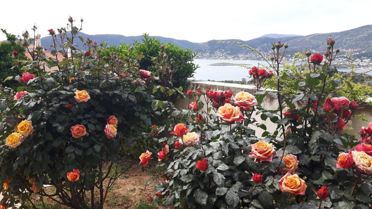 Georgia'S Holiday Apartment With Amazing Sea View Pórto Ráfti المظهر الخارجي الصورة